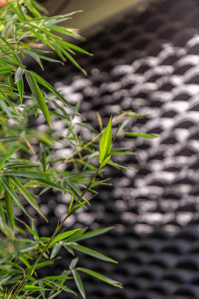 潮州凤凰单丛茶博物馆