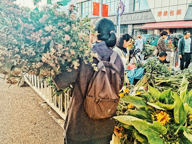 "从 斗南 回市区的地铁看到了超级美的日落，趁着地铁门开的那一刹拍的_斗南花市"的评论图片