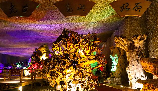 腾冲杜鹃王古木博览园