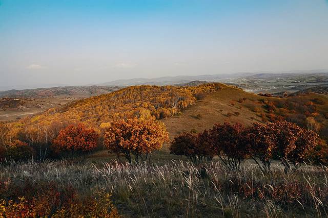 乌兰布统影视基地