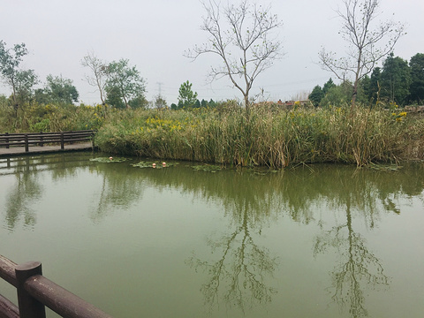 杭州湾国家湿地公园旅游景点攻略图