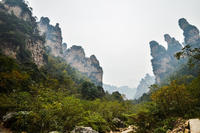 天子山风景区图片