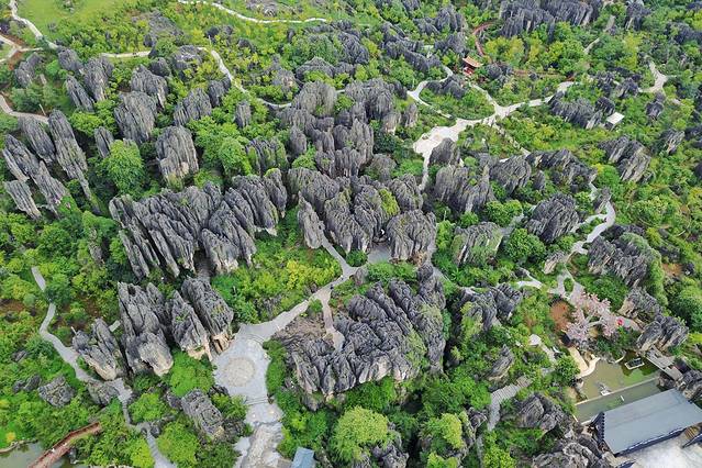 石林景区