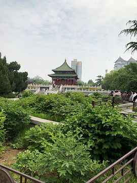 兴庆宫公园旅游景点攻略图