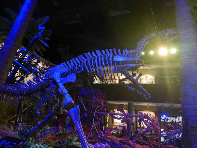 伊春地质博物馆