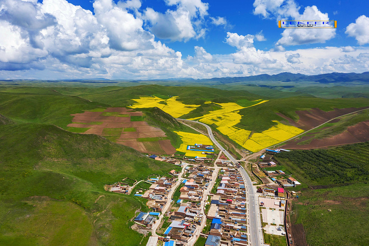 "完全被高山草甸油菜花海包围，尤其路边的上浪坎村，美得可以让人语无伦次，不成为特色旅游风景线简直……木_美仁大草原"的评论图片