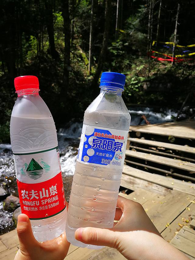 长白山峡谷浮石林