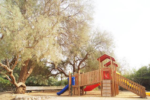 基布兹恩戈植物园