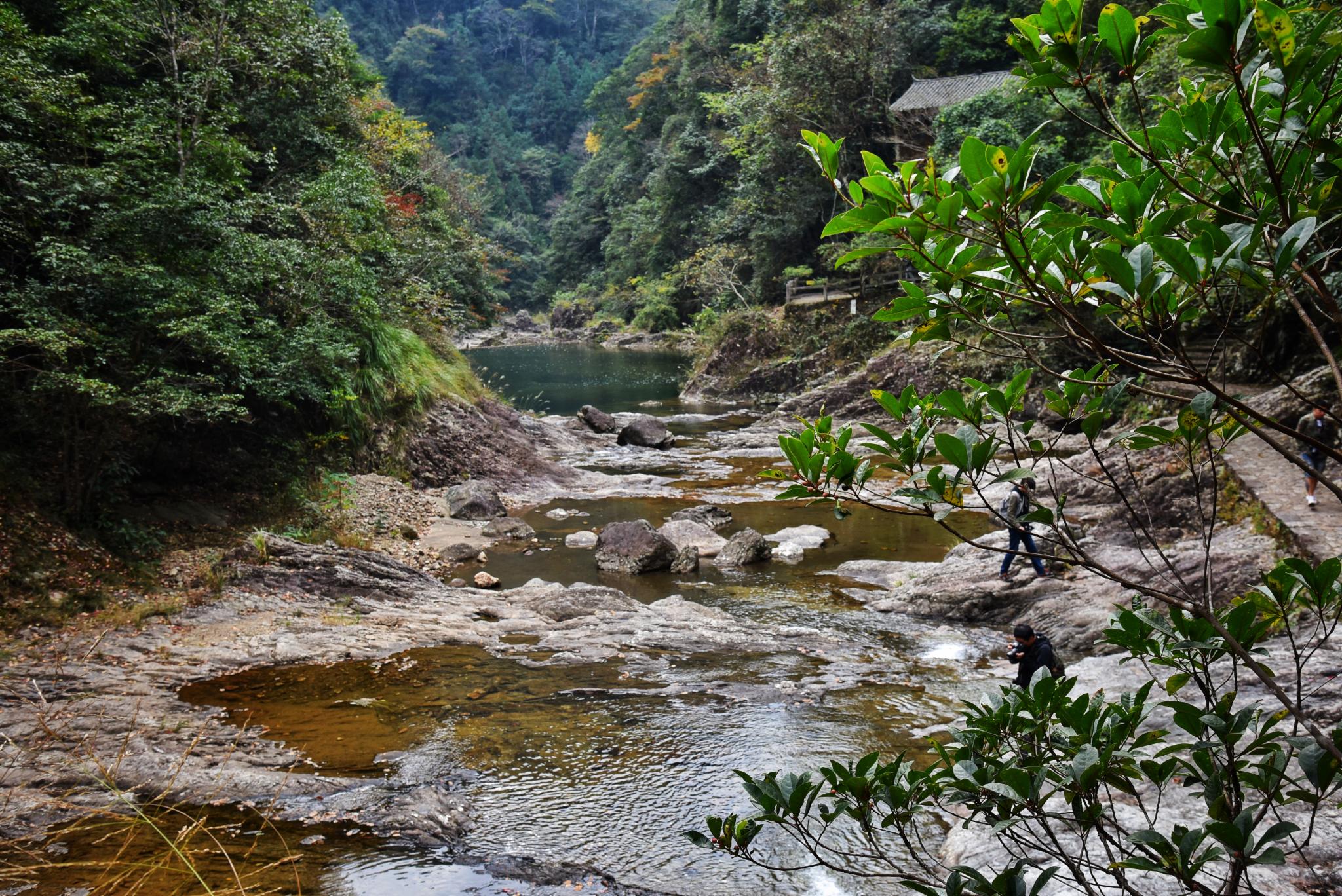 2021铜铃山森林公园游玩攻略,景区最为经典的景致从山谷谷...【去哪儿攻略】