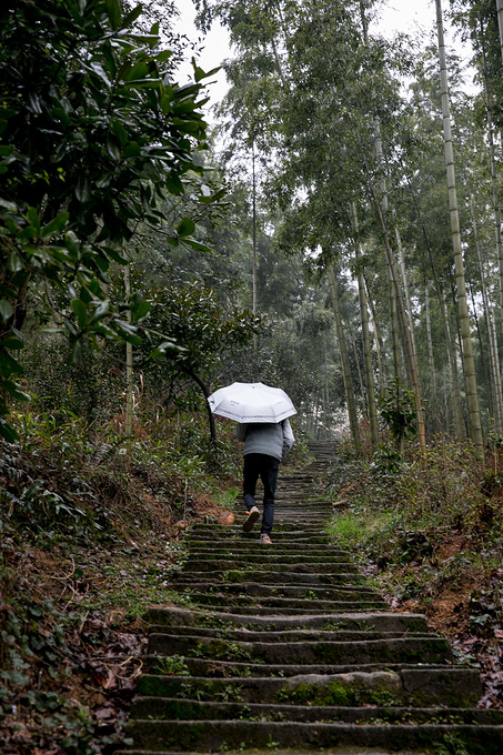 说说这次旅行图片