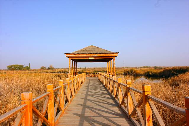 新城草湖国家湿地公园