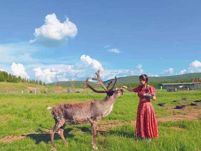 得耳布尓兴安神鹿园