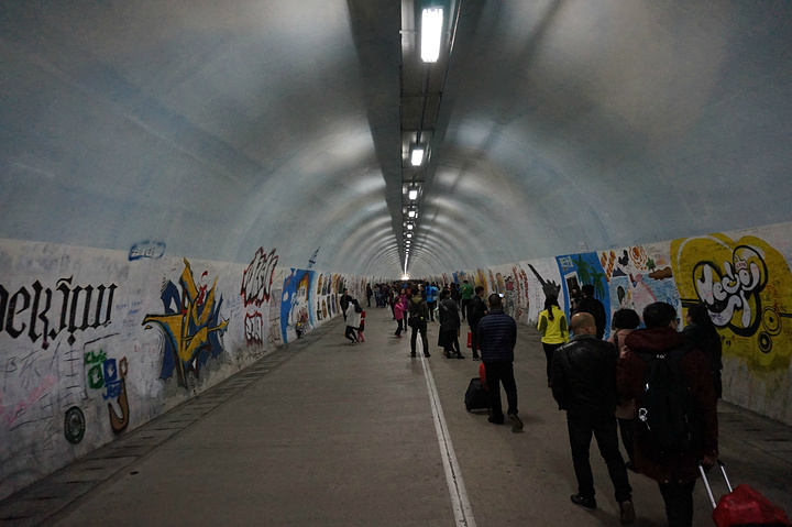 "厦门大学里的芙蓉隧道更是要去，芙蓉隧道很长，是连接教学楼和寝室的，隧道两侧都是大学里面的人的涂..._芙蓉隧道"的评论图片