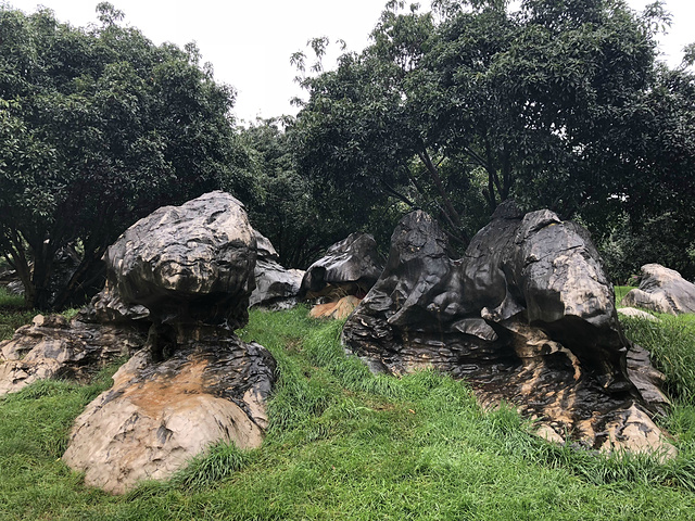 "后来便选择了一个昆明当地的一日游项目，包含石林和九乡两个景点，费用300出头，性价比很高_石林风景区"的评论图片