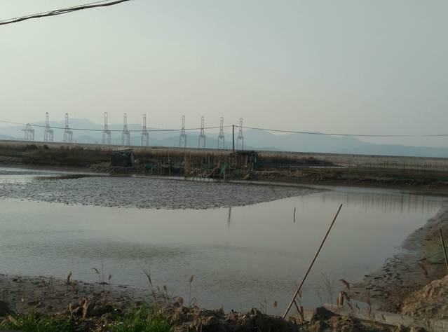 普陀区蚂蚁岛旅游区