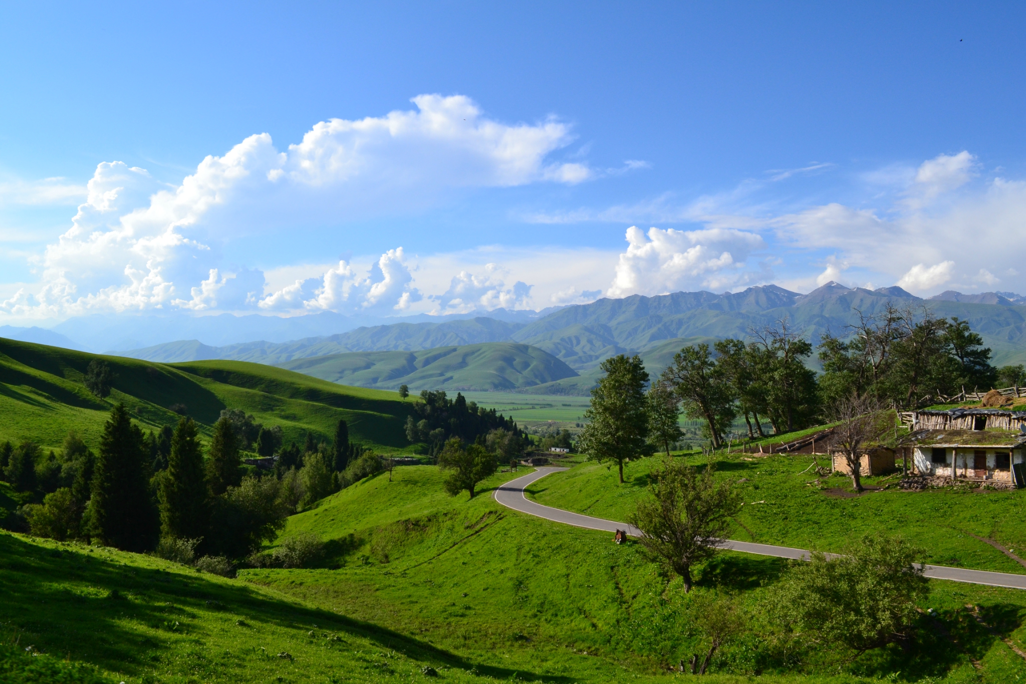 和喀拉峻惊艳到之后还有这绿色奶油质感的那拉提坐上景区大巴一路盘山
