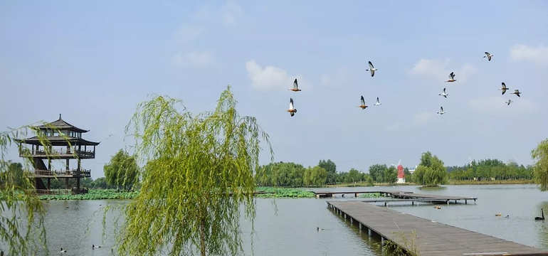 双龙湖湿地观鸟园旅游景点图片