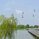 双龙湖湿地观鸟园