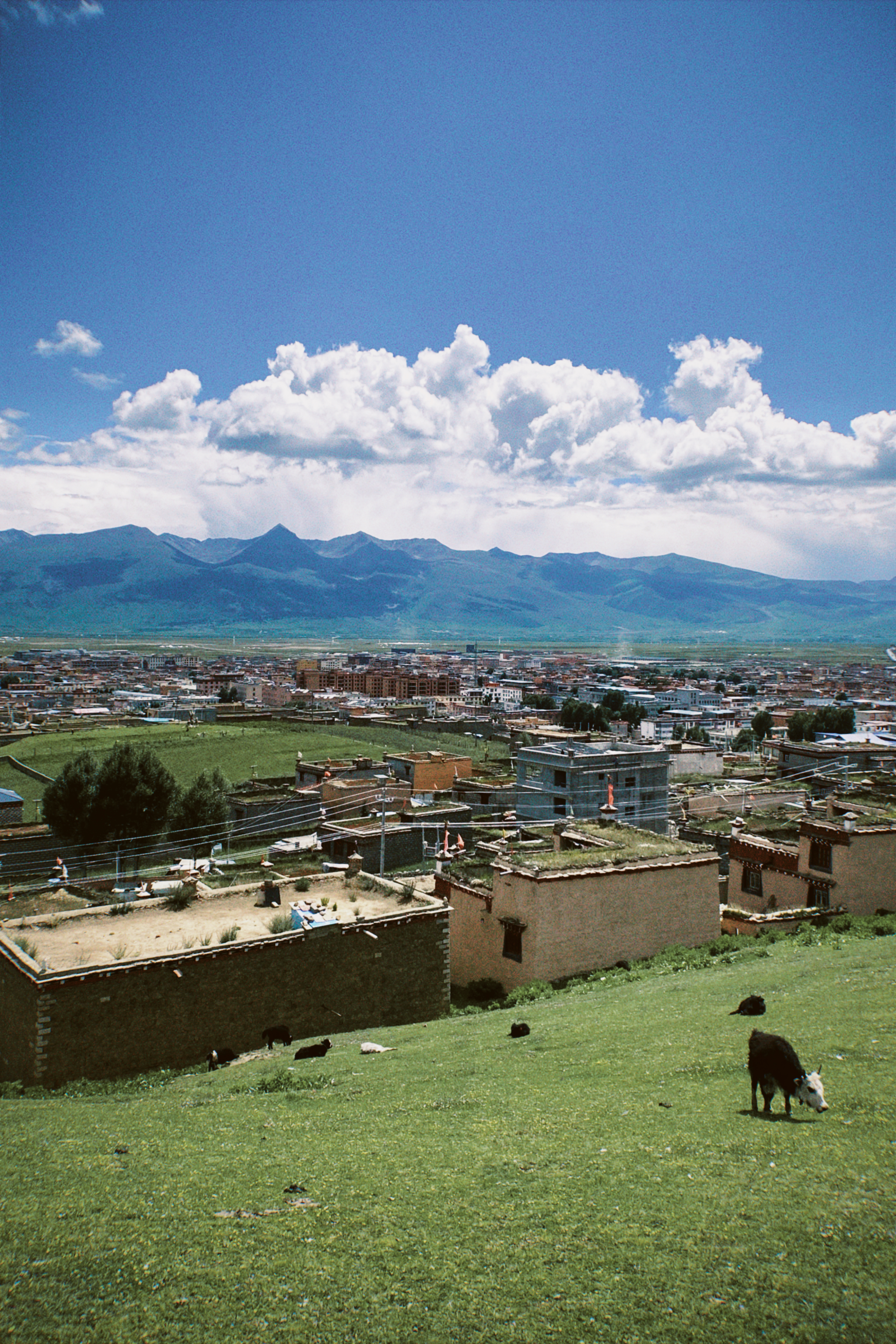2023勒通古镇·千户藏寨旅游景区游玩攻略,东山顶理塘全景逛藏寨时