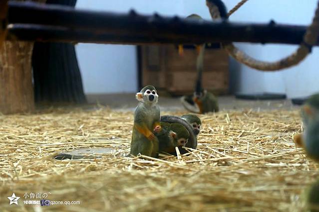 长春动植物公园