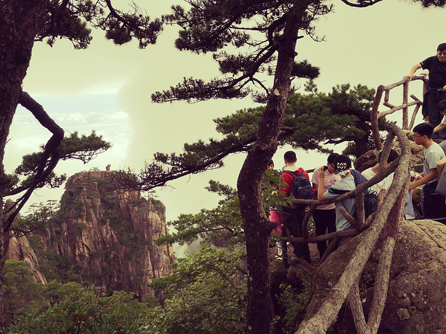"真正的悬崖峭壁，松石奇异无比，游客络绎不绝。只为了攀登上本次行程的最高峰，一睹黄山之壮阔美景_猴子观海"的评论图片