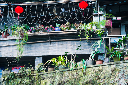 江畔寻花·咖啡小筑旅游景点图片