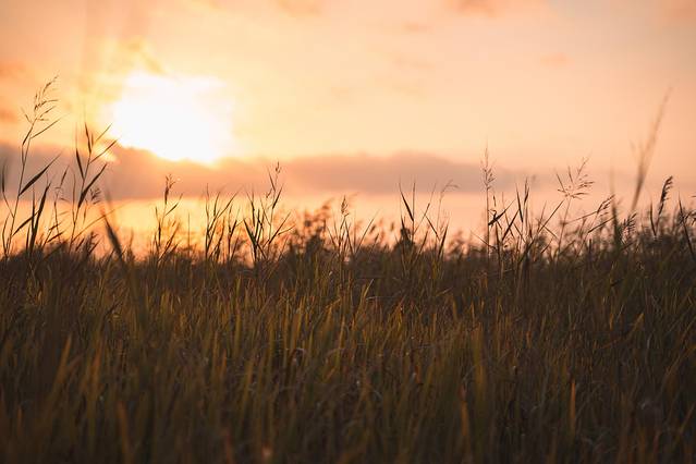 多大浦海水浴场