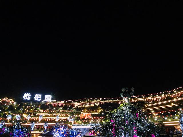 枇杷园食为鲜火锅(南山总店)