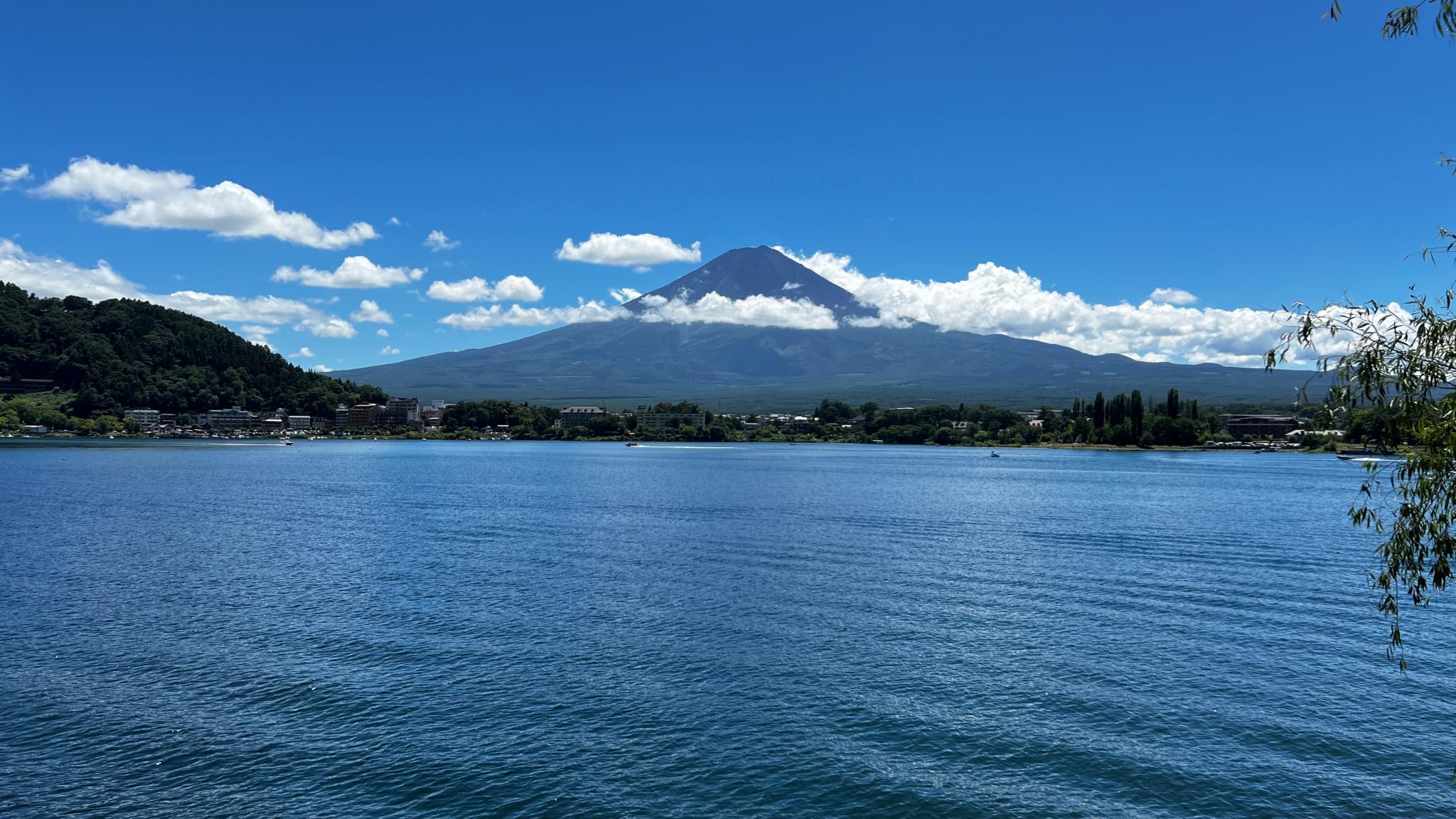 暑假游富士山河口湖，自由骑行拍照才最惬意