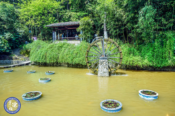 "赶上了江西省的旅游消费节，门票可以享受半价优惠，非常划算~在这里不仅可以看到徽派的祠堂和古宅，打卡_景德镇古窑民俗博览区"的评论图片