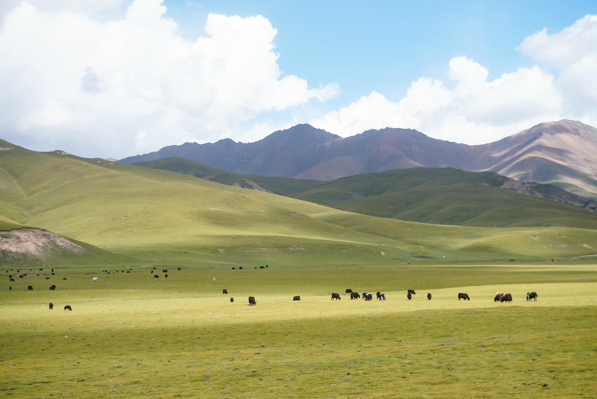 祁连山草原旅游注意事项_【游祁连山草原最佳路线2020年】