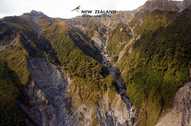 NZONE高空跳伞公司