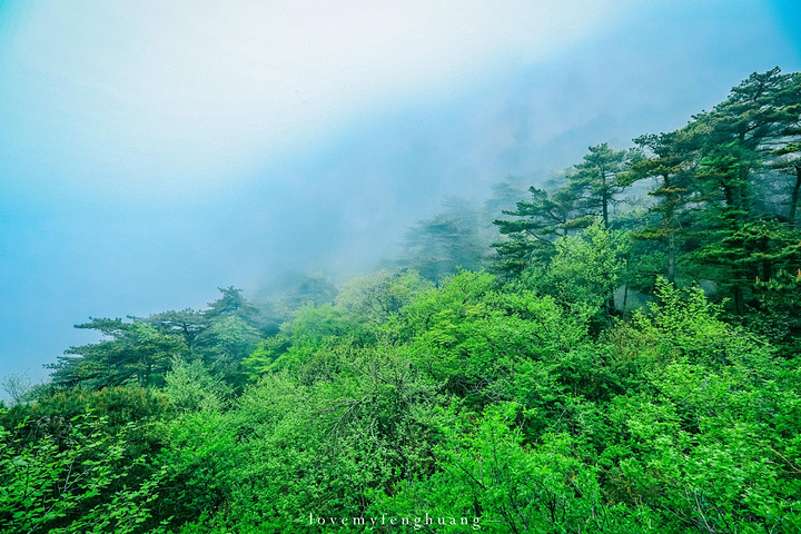 "...，这些远看似古堡魏立的天柱山岩石，在西关群峰垂直节理中非常发育，形成了横看成岭侧成峰的美丽景致_天柱山"的评论图片