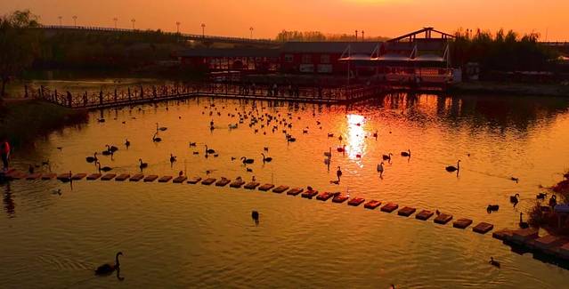 双龙湖湿地观鸟园