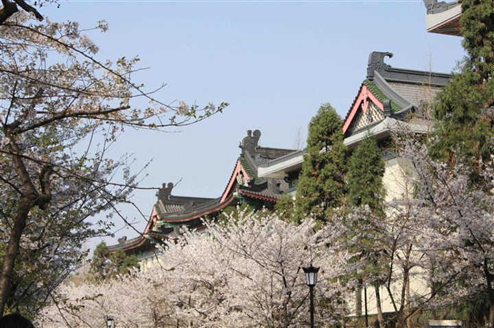 "_鸡鸣寺"的评论图片