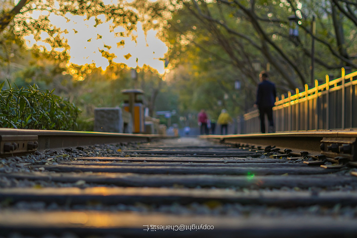 "在铁路公园最佳的时间就是下午。沿着铁路公园，从金榜公园开始，便是一段旧时光，而沿途经过的景点连成片_铁路文化公园"的评论图片