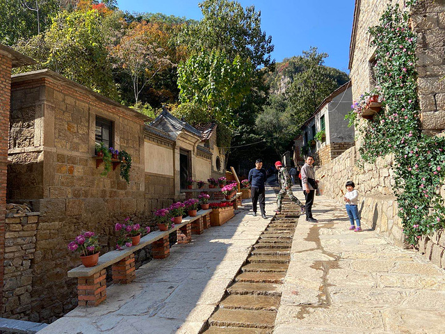 山路上有玻璃栈道玻璃栈道蓝天红叶红叶满山红叶满山景区内的水滑道