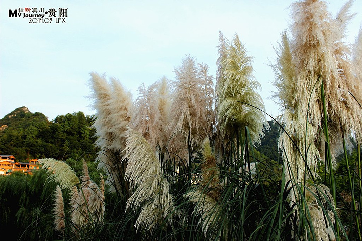 "♥花溪公园位于贵阳南郊的花溪区，是贵阳历史悠久的自然景观公园。图片来自去哪儿用户@scnu2805_花溪公园"的评论图片