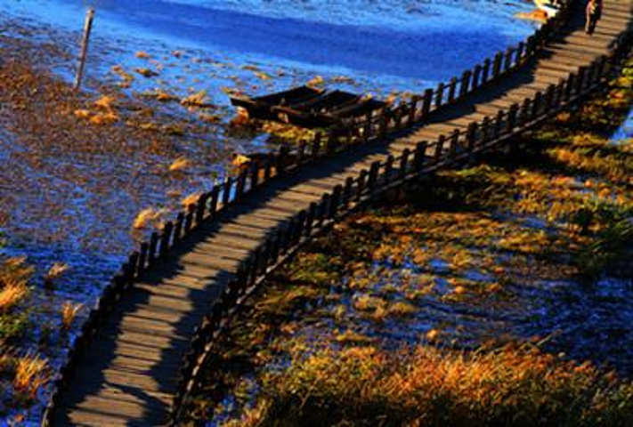 "走婚桥长约300米，两侧是生长在草海水中的大片芦苇，走在桥上，满眼都是碧绿的清新风景。观光车门票_走婚桥"的评论图片