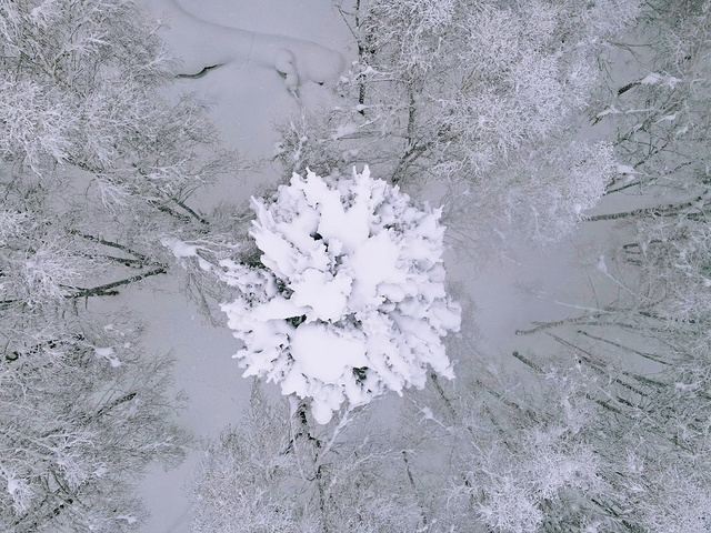 "...左右到达禾木风景区，天气好的时候非常漂亮，下雪的时候，放眼望去全是白色，拍出来的照片，各有千秋_禾木观景台"的评论图片