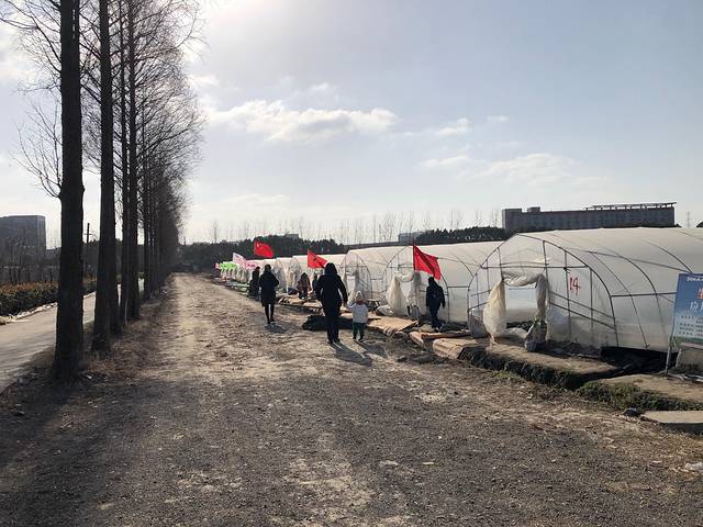 文明草莓园(鑫牛生态园店)