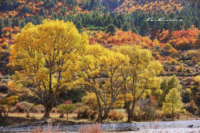 腊子口战役纪念馆