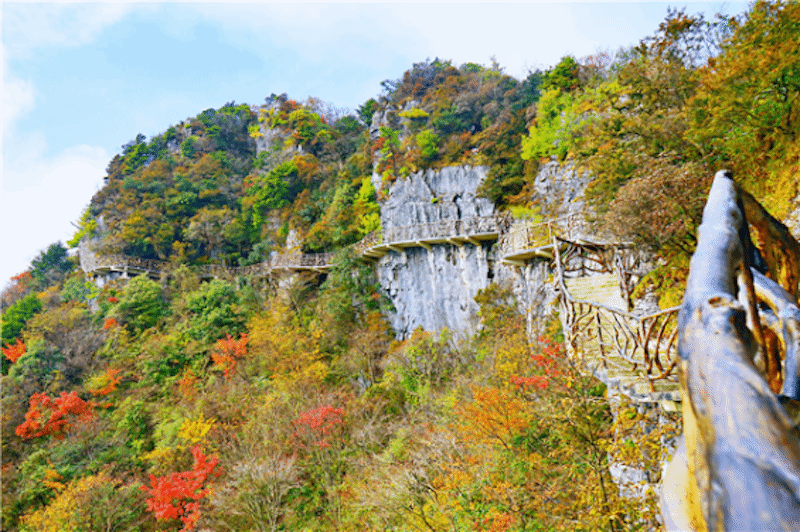 來巴山大峽谷看盡紅葉美景