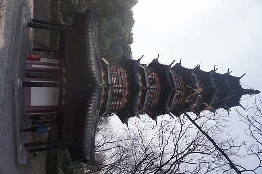 上海佘山国家森林公园旅游景点图片