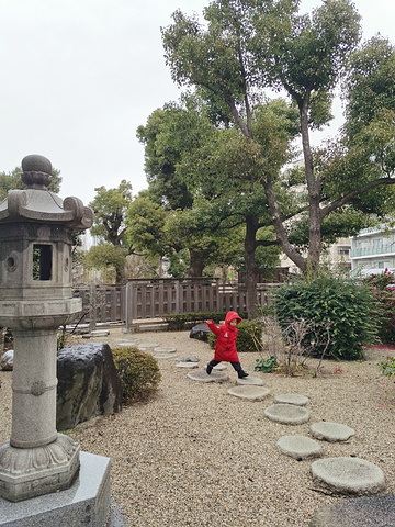 21大阪观光正式开始 第一站四天王寺花园300 博物馆0 景点的亮点是本坊庭园 有一个池塘叫做龟池 四天王寺 评论 去哪儿攻略