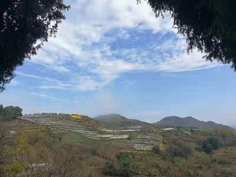 金竹岭村旅游景点图片