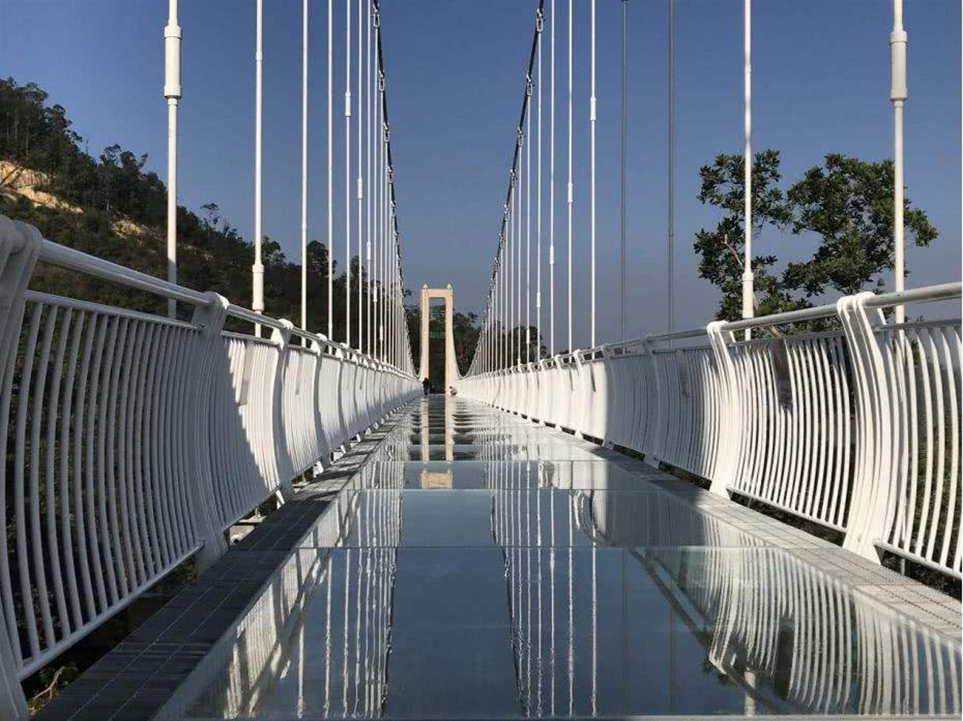 走在世界上最高最长的玻璃桥，看下去就是深渊，你会腿软吗_南麂土著_新浪博客