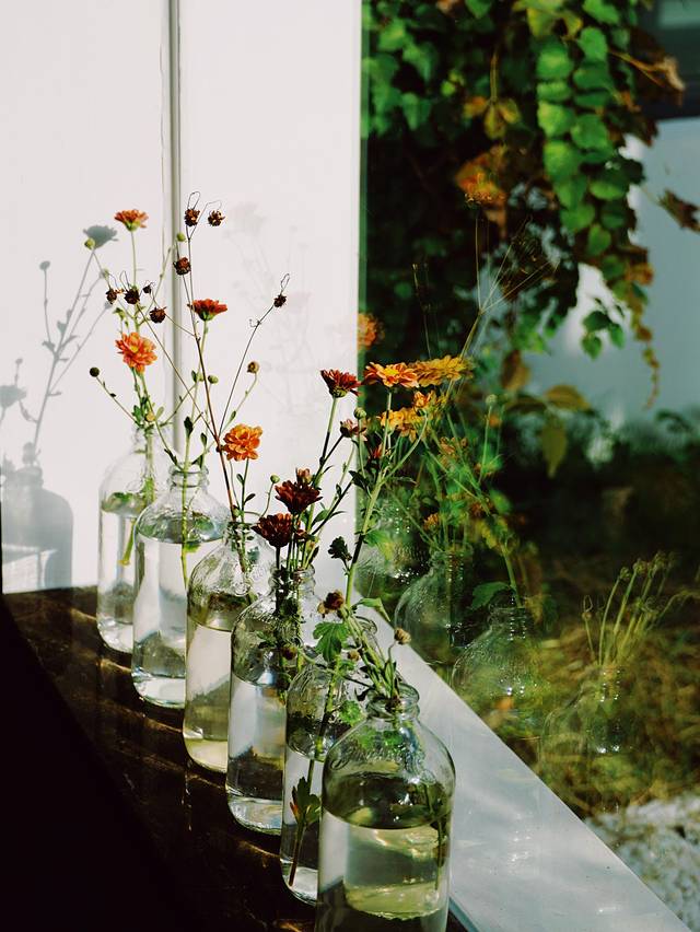 右见·藕然(平江路店)