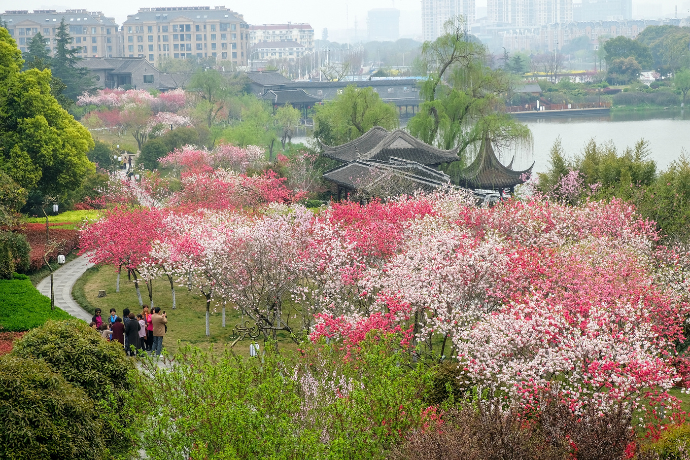扬州旅游迎来“烟花三月”黄金季