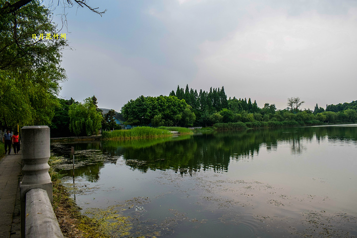 "...不好，但是计划好还是要去的，下午五点十分就来到了龙湖公园，在我认为傍晚时刻是逛公园最佳时间之一_龙湖公园"的评论图片